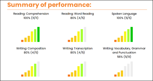 Summary_of_performance.png