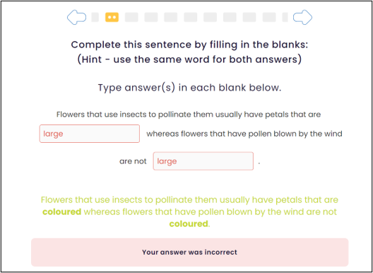 Example_multiple_answers.png